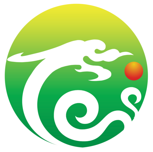 日照龙运化工