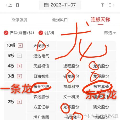 东莞服务一条龙